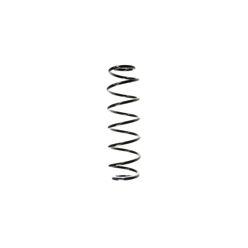 Ressort de suspension SPIDAN 56187