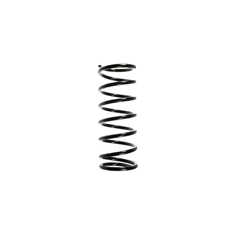 Ressort de suspension SPIDAN 56214