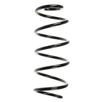 Ressort de suspension SPIDAN 56290