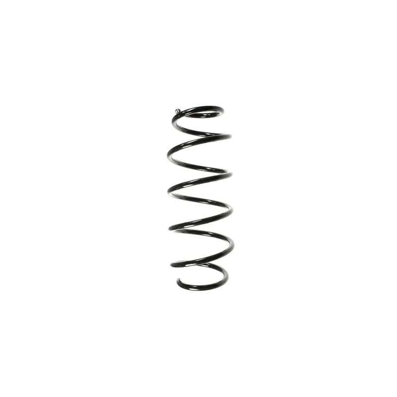 Ressort de suspension SPIDAN 56291