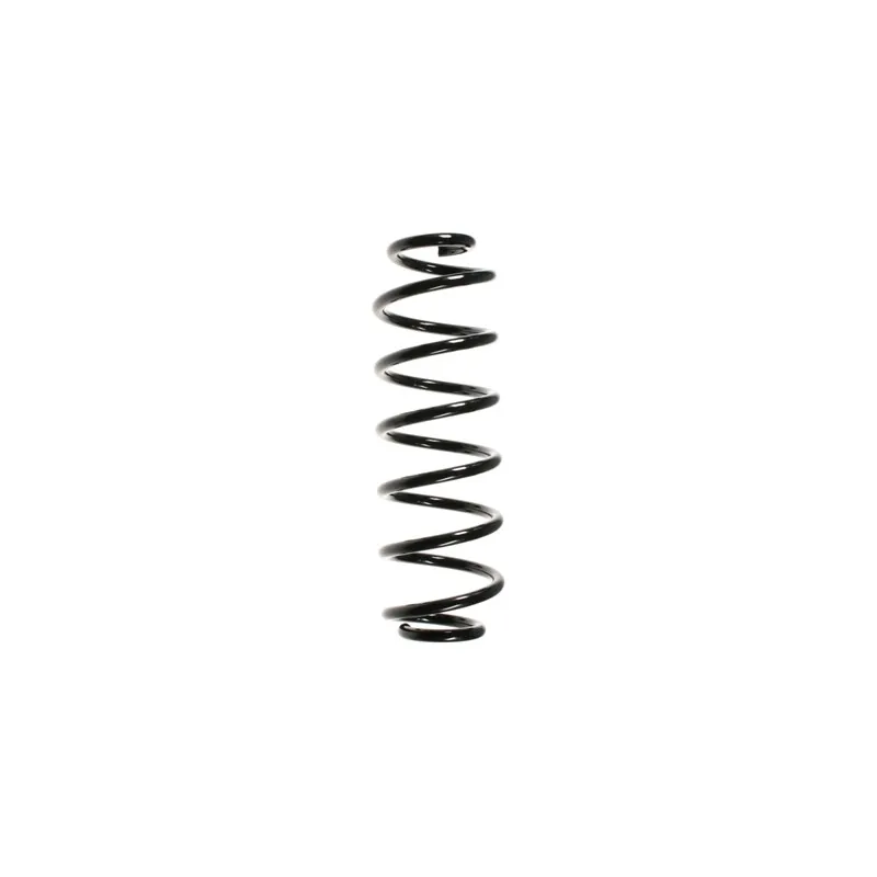 Ressort de suspension SPIDAN 56295