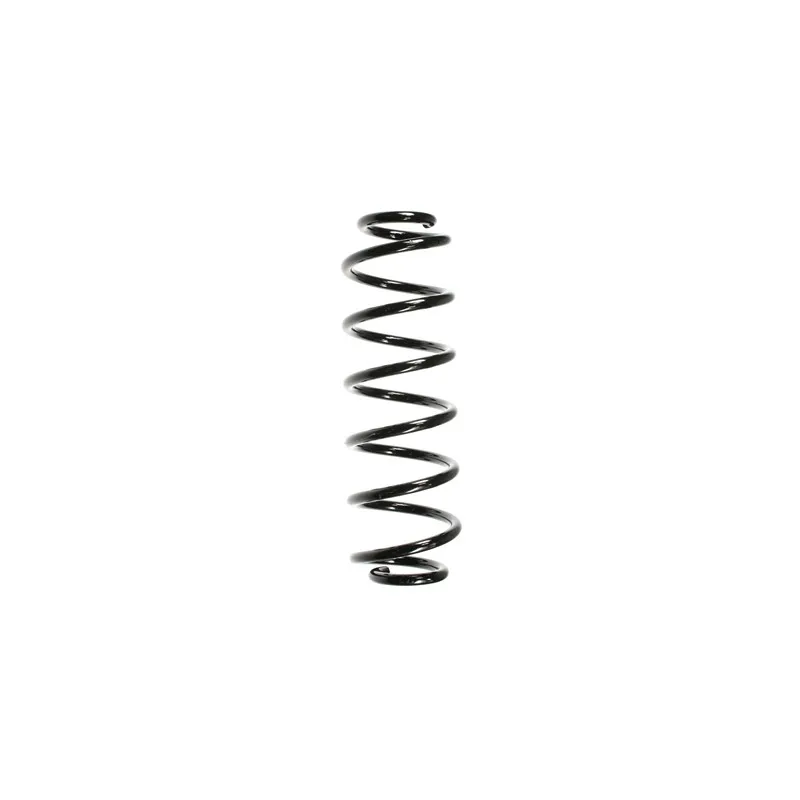 Ressort de suspension SPIDAN 56296