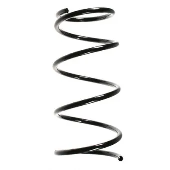 Ressort de suspension SPIDAN 56302