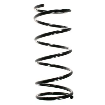 Ressort de suspension SPIDAN 56303