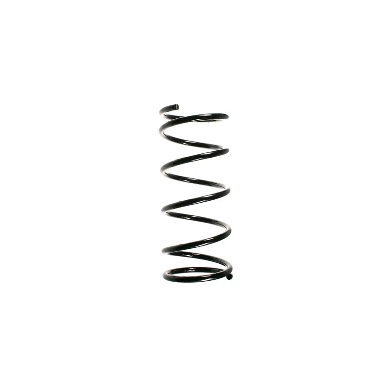 Ressort de suspension SPIDAN 56303
