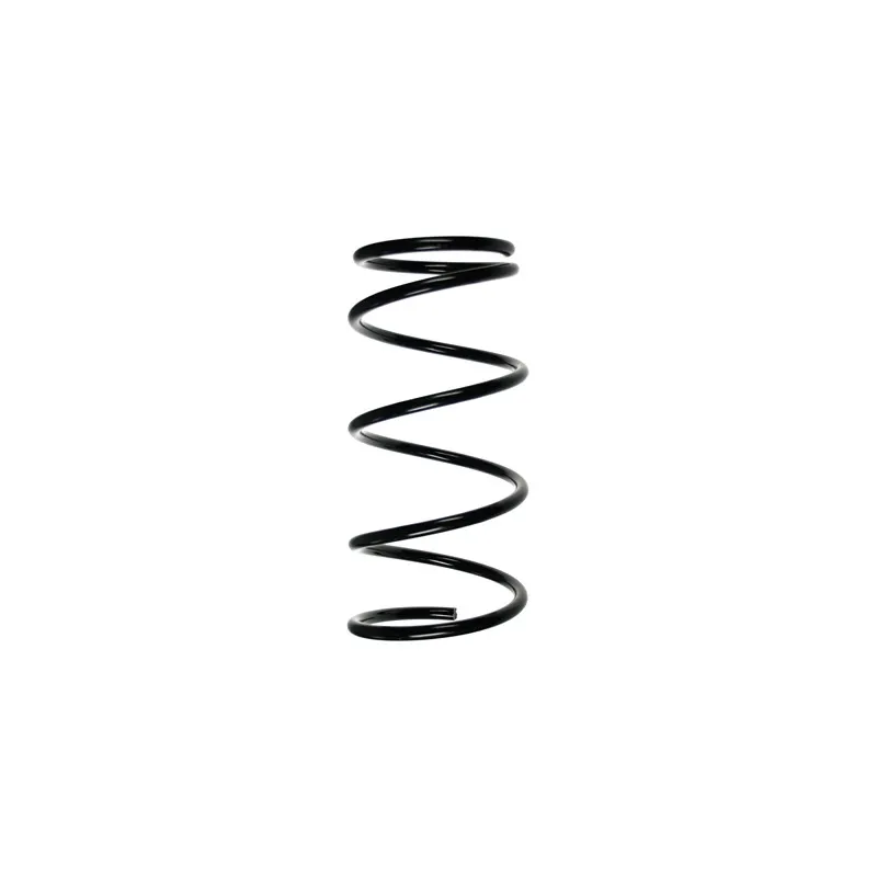 Ressort de suspension SPIDAN 56306