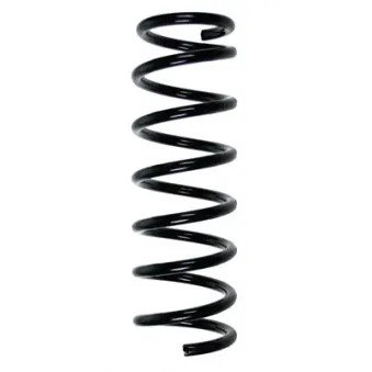 Ressort de suspension SPIDAN 56317