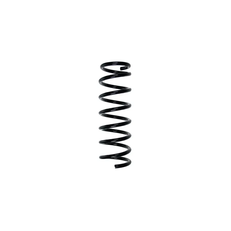 Ressort de suspension SPIDAN 56317