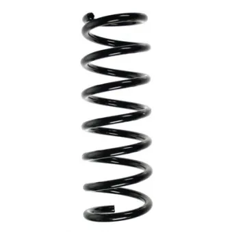 Ressort de suspension SPIDAN 56318