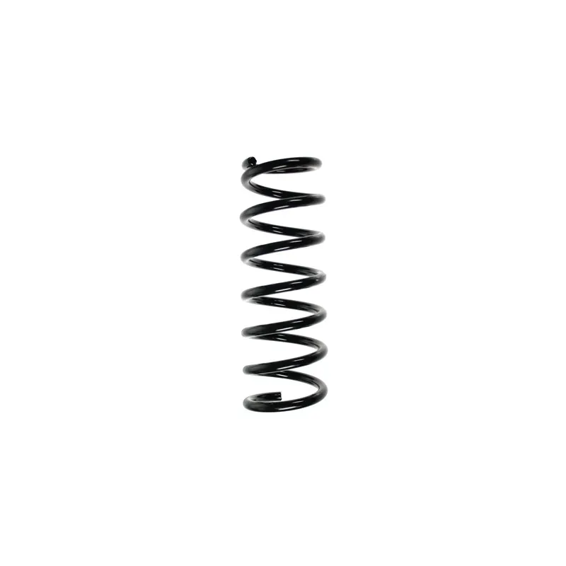 Ressort de suspension SPIDAN 56318