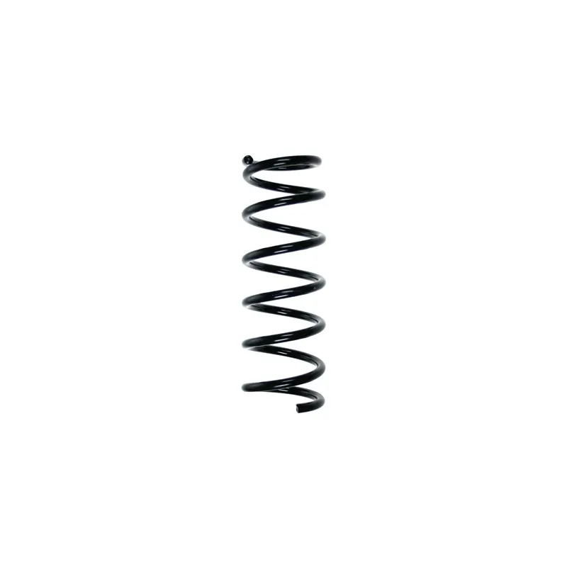 Ressort de suspension SPIDAN 56320