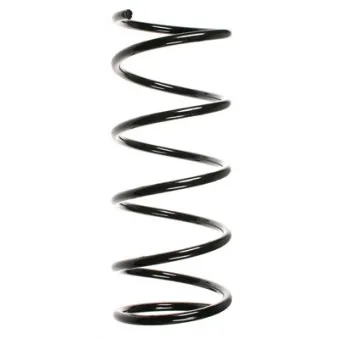 Ressort de suspension SPIDAN 56381