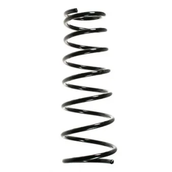 Ressort de suspension SPIDAN 56386
