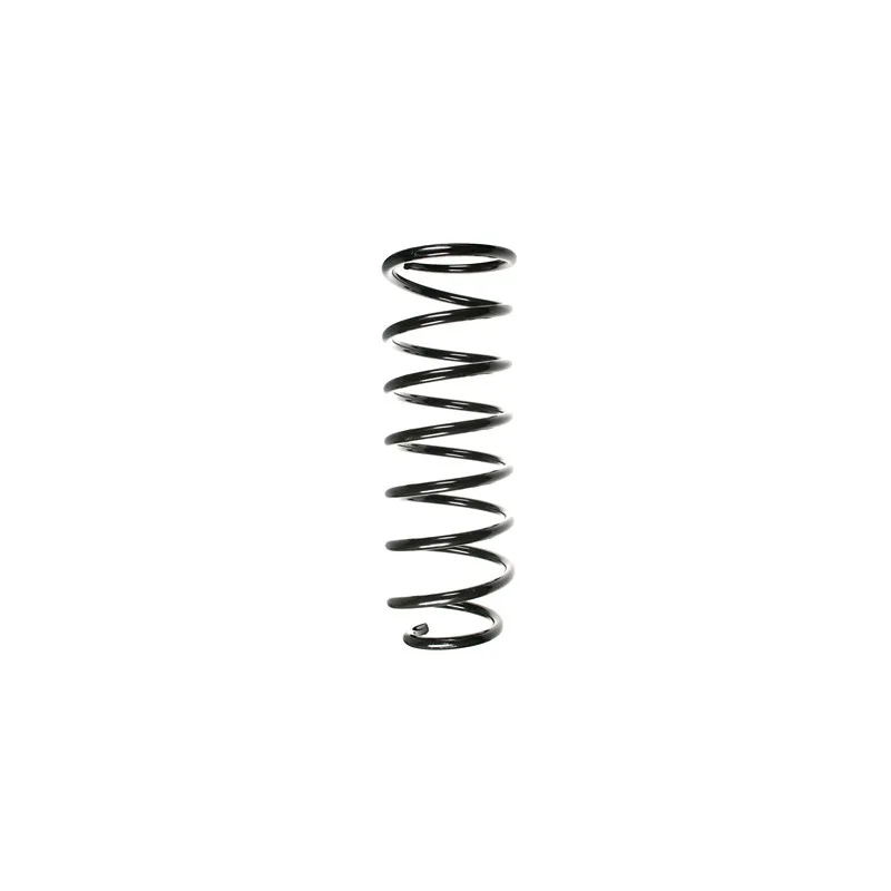 Ressort de suspension SPIDAN 56391
