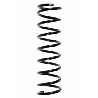 Ressort de suspension SPIDAN 56400
