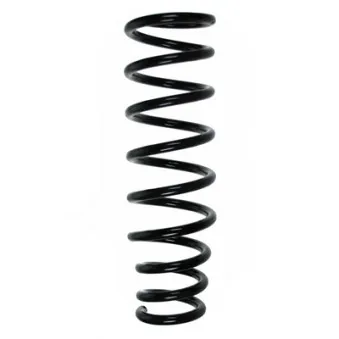 Ressort de suspension SPIDAN 56408