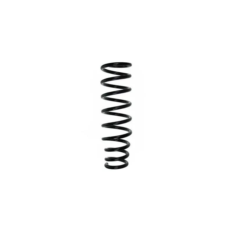 Ressort de suspension SPIDAN 56408