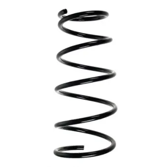 Ressort de suspension SPIDAN 56413
