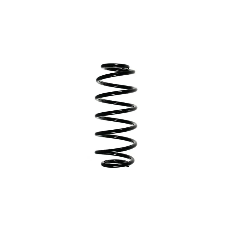 Ressort de suspension SPIDAN 56415