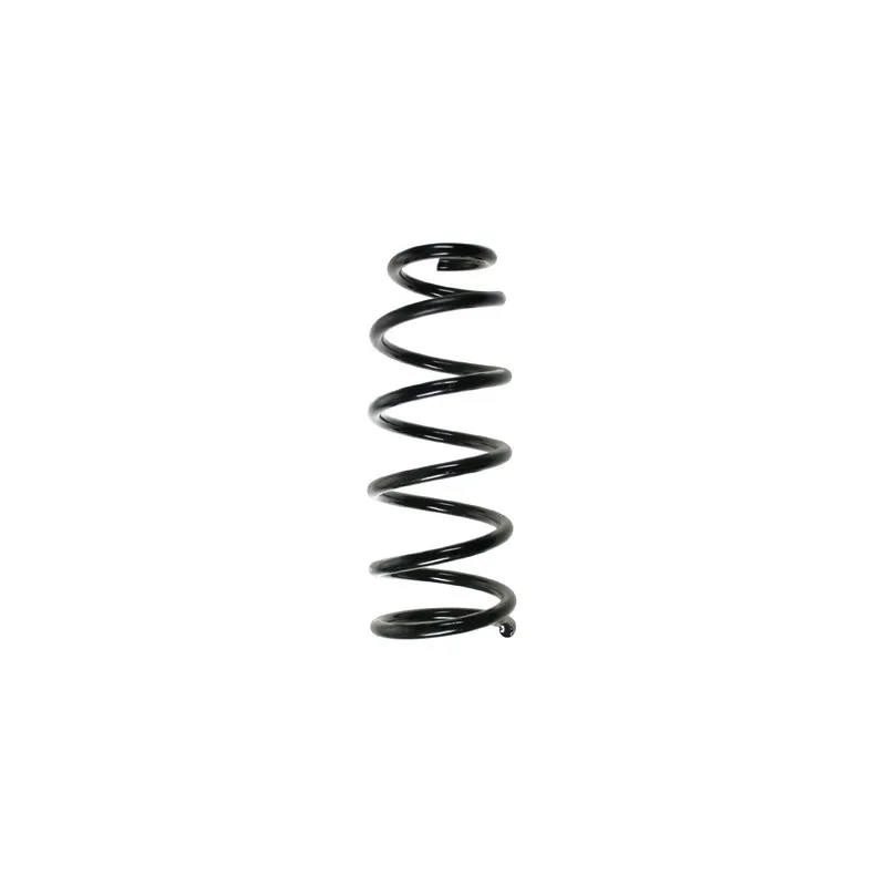 Ressort de suspension SPIDAN 56437
