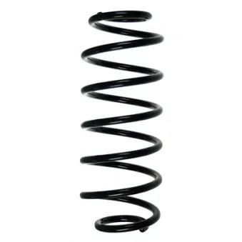 Ressort de suspension SPIDAN 56453