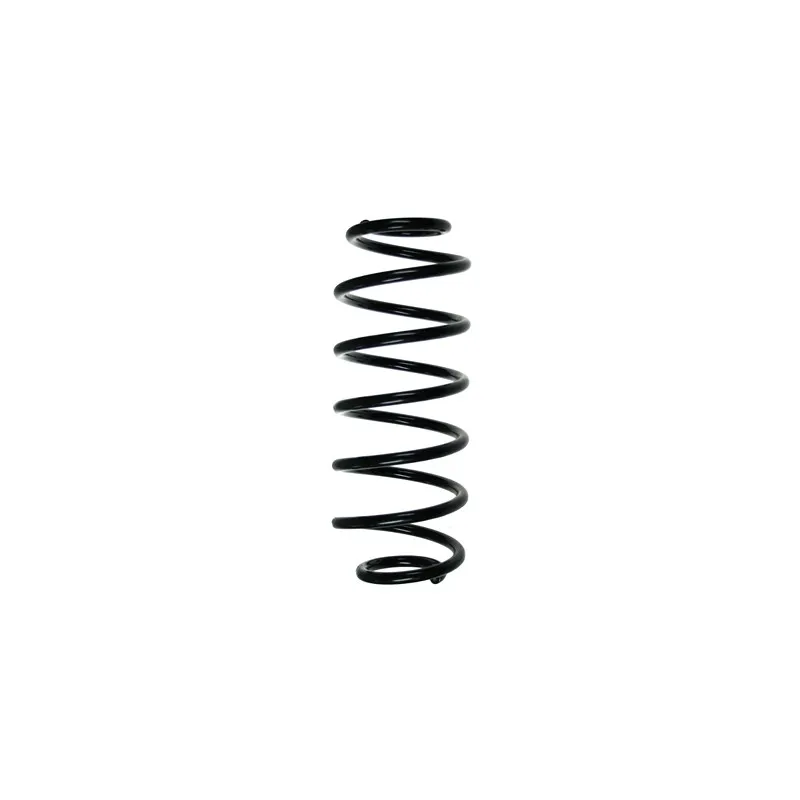 Ressort de suspension SPIDAN 56453