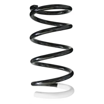 Ressort de suspension SPIDAN 56454