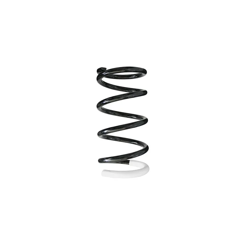 Ressort de suspension SPIDAN 56454