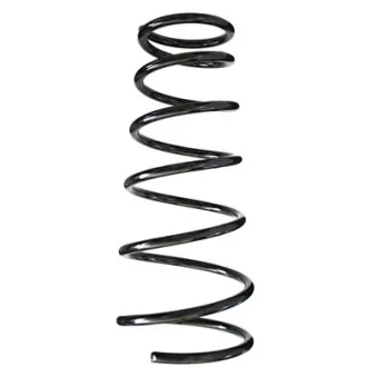 Ressort de suspension SPIDAN 56489