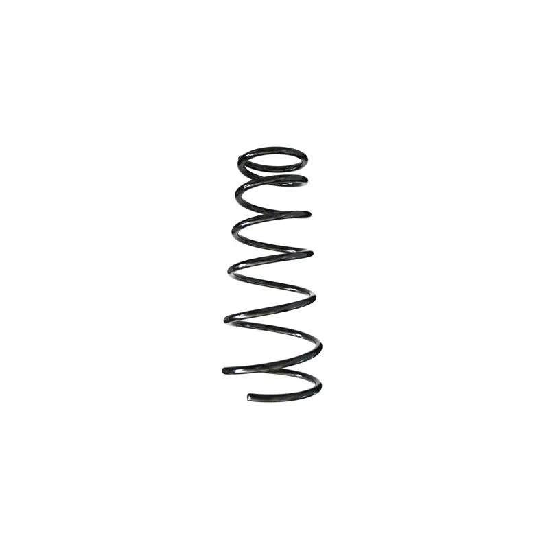 Ressort de suspension SPIDAN 56489