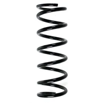 Ressort de suspension SPIDAN 56508