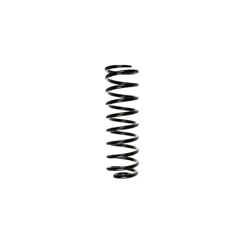 Ressort de suspension SPIDAN 56560