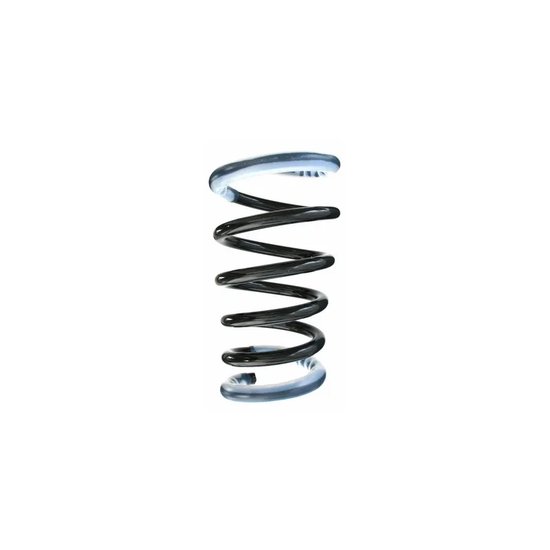 Ressort de suspension SPIDAN 56572