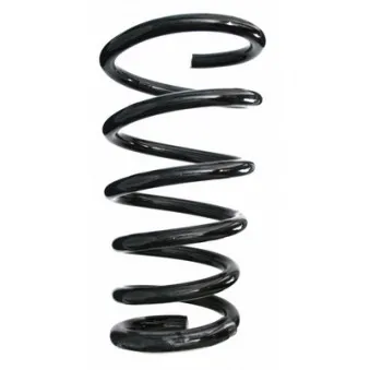 Ressort de suspension SPIDAN 56573