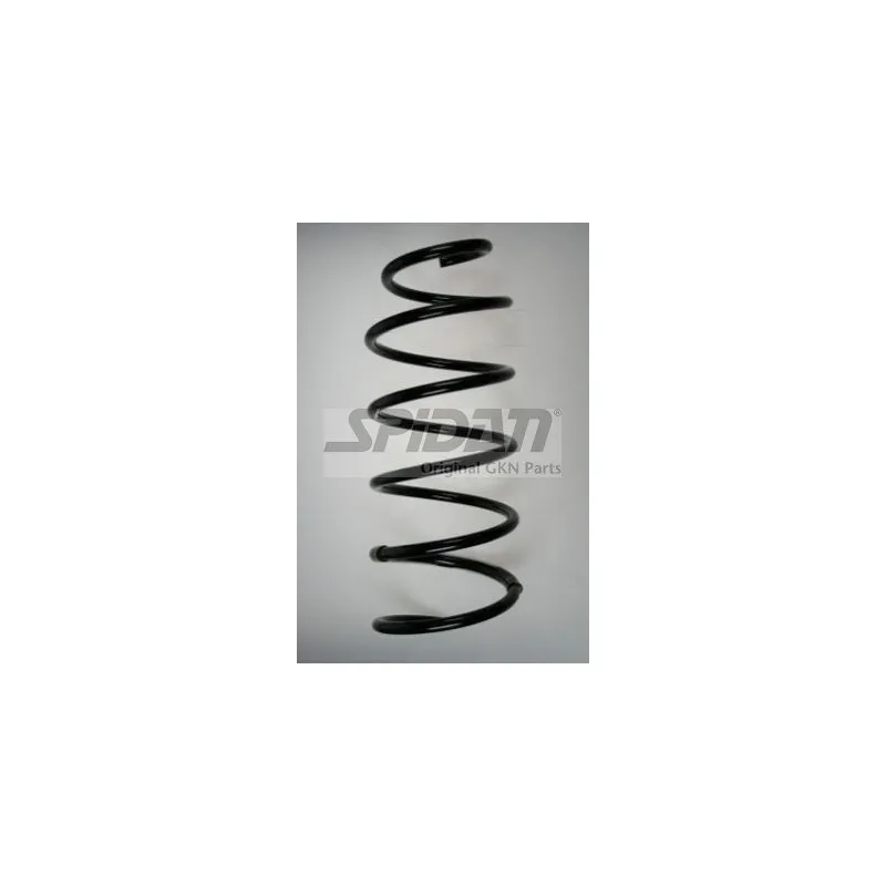 Ressort de suspension SPIDAN 56581