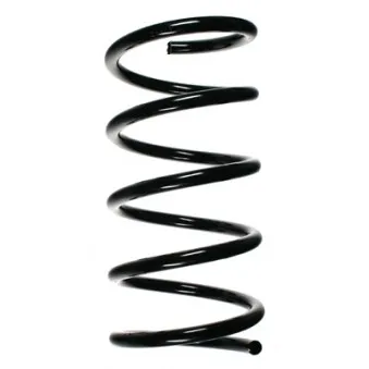 Ressort de suspension SPIDAN 56583