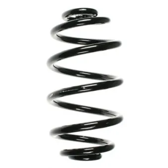 Ressort de suspension SPIDAN 56598