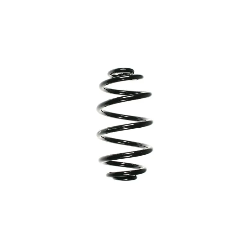 Ressort de suspension SPIDAN 56598