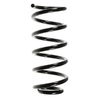 Ressort de suspension SPIDAN 56600