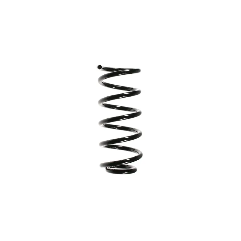 Ressort de suspension SPIDAN 56600
