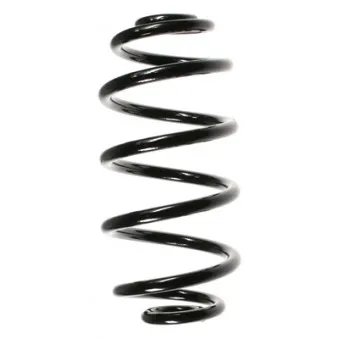 Ressort de suspension SPIDAN 56602