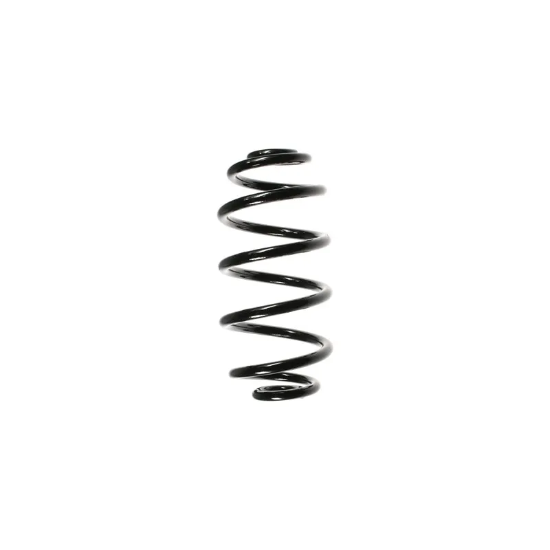 Ressort de suspension SPIDAN 56602