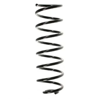 Ressort de suspension SPIDAN 56603