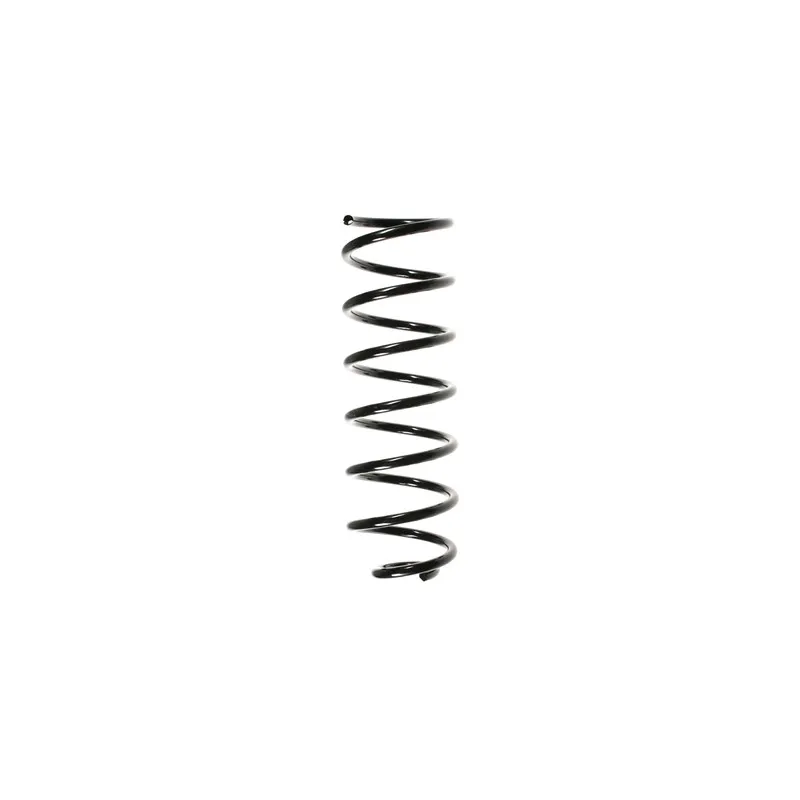 Ressort de suspension SPIDAN 56603