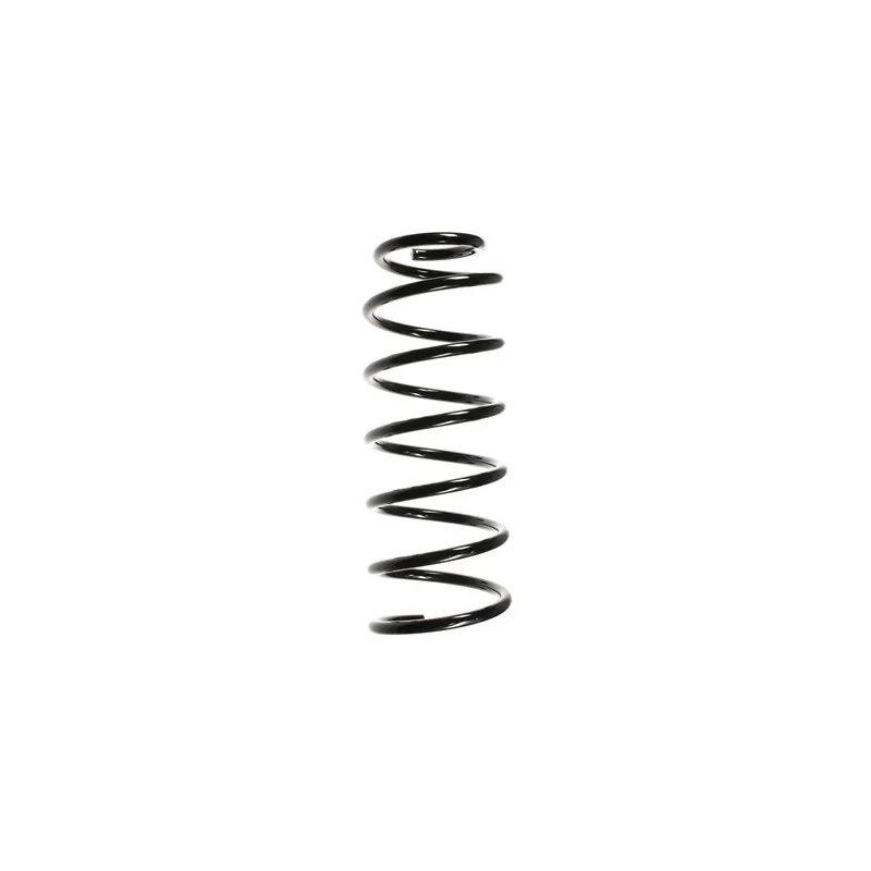 Ressort de suspension SPIDAN 56604