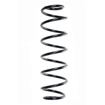 Ressort de suspension SPIDAN 56615