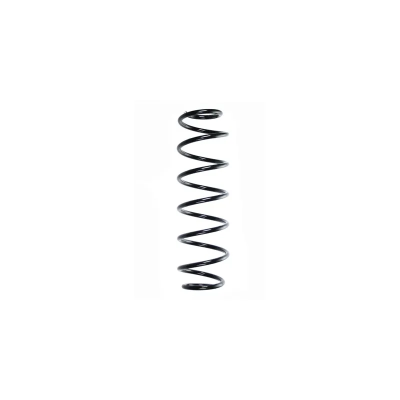 Ressort de suspension SPIDAN 56615