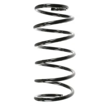 Ressort de suspension SPIDAN 56620