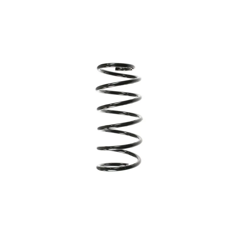 Ressort de suspension SPIDAN 56620