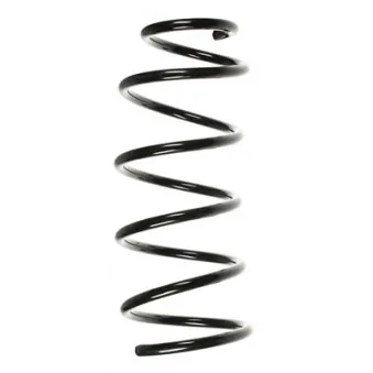 Ressort de suspension SPIDAN 56621